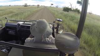 Hyena Tsetse Flies amp Monkeys Singita Gremeti Tanzania African Safari 2 March 2016 GP020549 [upl. by Salakcin]