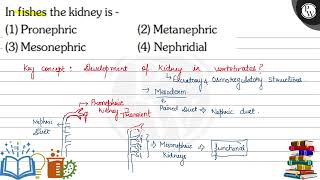 In fishes the kidney is  1 Pronephric 2 Metanephric 3 Mesonephric [upl. by Giacomo]