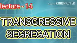 TRANSGRESSIVE SEGREGATION2 with examples in detail [upl. by Annovy376]