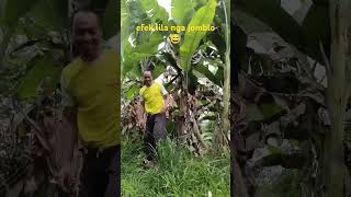 Cobi info jahejanda herang palihan mana nu seueur 😁 shorts comedy viralvideo [upl. by Ailaroc]