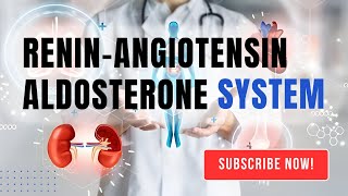 How does the ReninAngiotensinAldosterone System regulate blood pressure [upl. by Narmis]