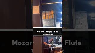 Excerpt Mozart  Magic Flute Die Zauberflöte Timpani Excerpt orchestra timpani magicflute [upl. by Clemmy668]