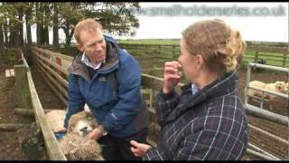 Sheep Drenching worming with Adam Henson [upl. by Bendick]