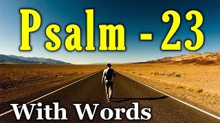 Psalm 23 Reading Finding Peace in the Shepherds Care With words  KJV [upl. by Kenwee]