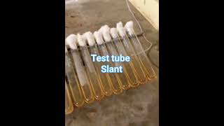 Potato Dextrose Agar  Test tube  Culture media 🦠🦠🧪🧪🧪🧫🧫🧫 [upl. by Narej]