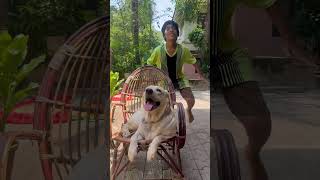 onnam kunnal odi ethi orayiram valamvekkamviralshorts youtubeshorts doglover dog dogshorts❤️ [upl. by Luanne860]