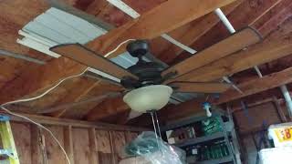 Shirtless Video of the 52quot Hampton Bay Larson Ceiling Fan [upl. by Ness]