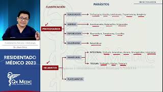 RM 2023 Infecto 1 PARÁSITOS PROTOZOARIOS Giardia Leishmania Trypanosoma Naegleria acantamoeba [upl. by Eugenides]