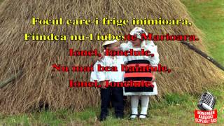 IONEL IONELULE KARAOKE STIL ETNO DANCE [upl. by Harilda207]