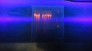 DNA RNA and Protein band Illuminization under UV light [upl. by Anrak]