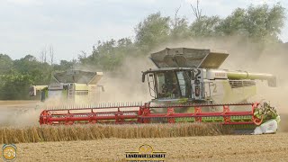 WIR SCHAFFEN HEKTAR 2 Claas Lexion 8900 Mähdrescher in der Getreideernte Landwirtschaft Ernteeinsatz [upl. by Aubine]