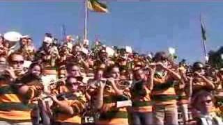 College of William and Mary Fight Song Pep Band [upl. by Read67]