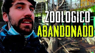 ¡¡MURIERON DE HAMBRE AL ABANDONAR EL ZOO  nadie volvió a por ellos🐊 [upl. by Cate954]