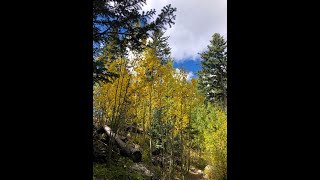 Fall Color is starting on the Sandia Crest Trail 130 near Albuquerque New Mexico [upl. by Emse]