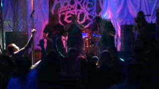 Aborted Fetus  Live  Extremum Festival 210209 [upl. by Ilellan275]