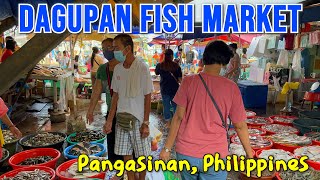 DAGUPAN CITY FISH MARKET 2023 TOUR  Seafood Price Update in Pangasinans Biggest Seafood Market [upl. by Rebmyt112]