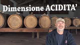 Aceto Balsamico Dimensione ACIDITA [upl. by Pattin117]