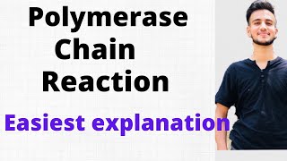 Polymerase Chain Reaction  PCR in Microbiology [upl. by Wolf]