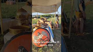 Festa Etrusca al Parco Archeologico di Baratti e Populonia Wow toscana archeology [upl. by Cormick]