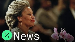 Toni Morrison Pioneering Author and Nobel Laureate Dead at 88 [upl. by Gnim]