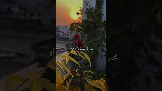 Mera dil to Muhammad ka ghar ban gya Aslam Sabri best qawwali qawwali status islamic video short [upl. by Lleksah880]