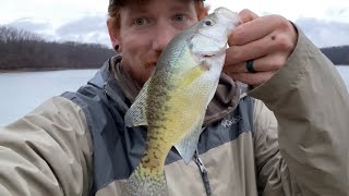 Late winter crappie fishing from the bank Non stop action [upl. by Tenneb]