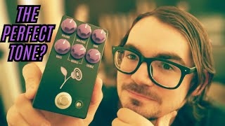 My Quest For The Perfect Overdrive JHS Violet [upl. by Romilly]