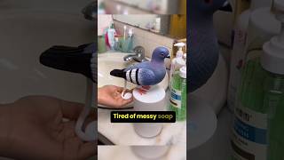 Effortless Hygiene with Pigeon Automatic Foam Hand Washer [upl. by Hultin274]