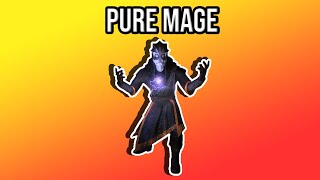 Skyrim Anniversary Edition BEST Pure Mage Build  Legendary Difficulty [upl. by Raney753]