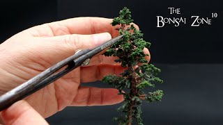 My Mini Bonsai Part 2 The Bonsai Zone Nov 2023 [upl. by Eatnuahs]