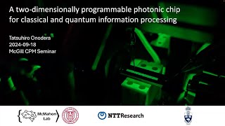 A twodimensionally programmable photonic chip for classical and quantum information processing [upl. by Gavin]