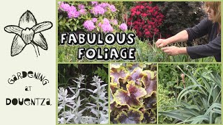 3 Fabulous Foliage Plants  Heuchera Artemisia amp Kniphofia  Quick amp Easy Guide [upl. by Antonie351]