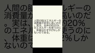 脳の重量はわずか2なのにエネルギー消費は20これが人間の驚異的な知能の秘密だ [upl. by Tatiania]