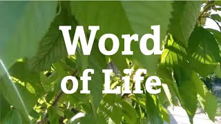 Word of Life October 2024 FocoB [upl. by Anibas]