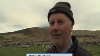 Irish Farmers Glorious Accent Is So Strong Here are the subtitles [upl. by Irvine]