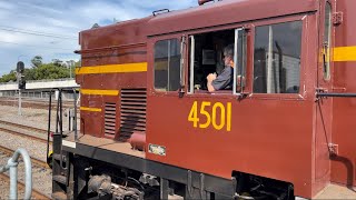 NSW Transport Heritage 4501 amp 6029 Garratt at Hunter Valley Steamfest  Maitland [upl. by Selec]