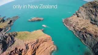 Akaroa Harbour Nature Cruise 30 second highlight [upl. by Yentruoc]