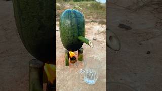 Survival skills steam bad water in watermelon bushcraft camping outdoors [upl. by Bander]