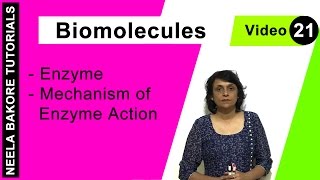 Biomolecules  NEET  Enzyme  Mechanism of Enzyme Action  Neela Bakore Tutorials [upl. by Nahsab]