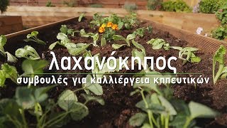 🥬 Καλλιέργεια λαχανικών και δημιουργία λαχανόκηπου  Τα Μυστικά του Κήπου [upl. by Nnaj]