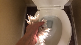 Flushing Some Christmas Holiday Lights Down The Toilet [upl. by Berl]