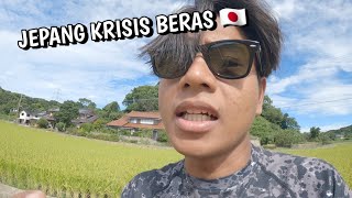 JEPANG KRISIS BERAS  MUSIM PANEN TIBA TAPI HARGA BERAS NAIK DAN STOK LANGKA [upl. by Carmelina]