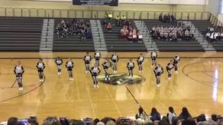 WTHS Varsity Devilettes Sectionals 2017 [upl. by Enaled26]