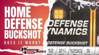 BUCKSHOT Fiocchi Defense Dynamics Testing [upl. by Niledam]