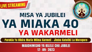 🔴LIVE  ADHIMISHO LA MISA TAKATIFUJUBILEI MIAKA 40 YA SHIRIKA LA WAKARMELI TANZANIA [upl. by Klump929]