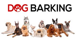 Dogs Barking Sounds To Make Your Dog REACT  34 Breeds Including Yours [upl. by Unni]