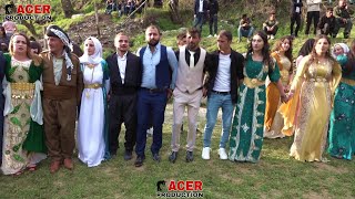 kurdish wedding govenda kormılllo [upl. by Vincents348]