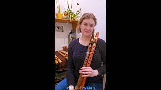 Stellar Native American style NEW F sharp flute sound demo with Lily [upl. by Airasor208]