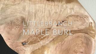 Building Live edge wood table using Bigleaf maple burl wood slab [upl. by Schiffman]