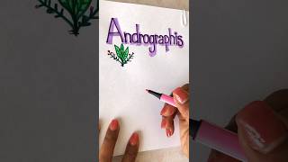 How To Write “Andrographis” in Thai shorts [upl. by Neelik]